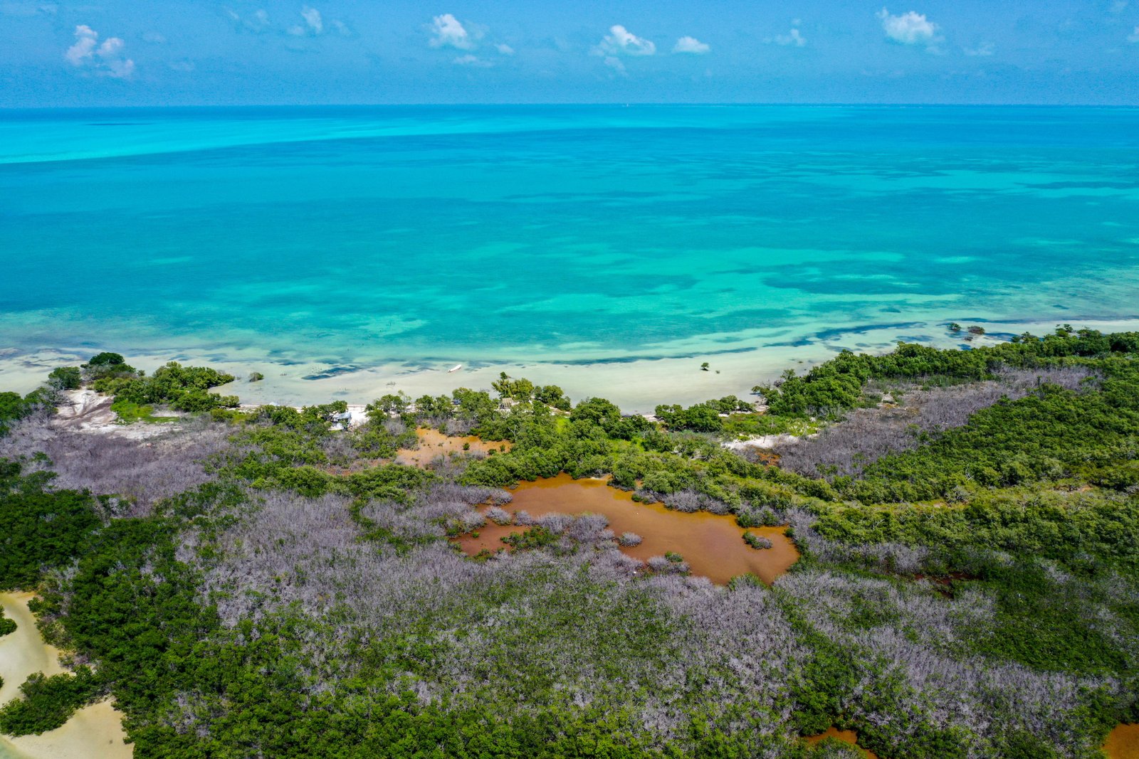 Mayakoba: An ecotourism and relaxation paradise for women who want to reconnect.