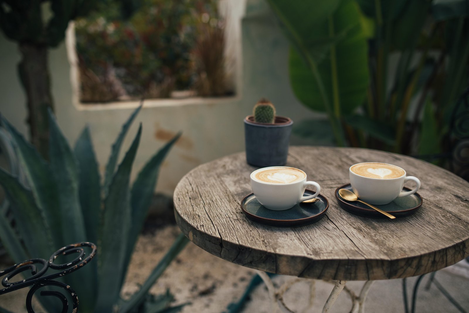 Top 5 Best Cafes in Playa del Carmen: Where Coffee Meets Soul
